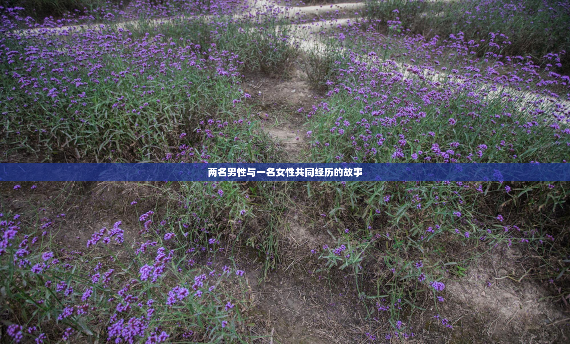 两名男性与一名女性共同经历的故事