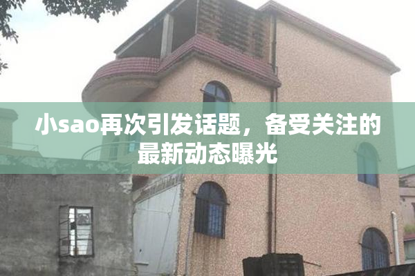 小sao再次引发话题，备受关注的最新动态曝光