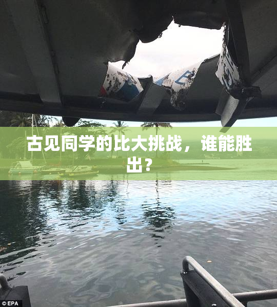 古见同学的比大挑战，谁能胜出？