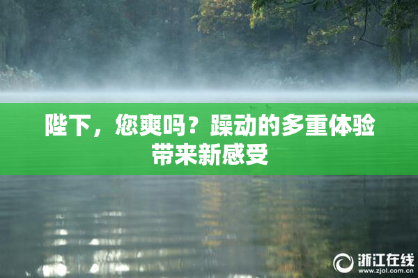 陛下，您爽吗？躁动的多重体验带来新感受