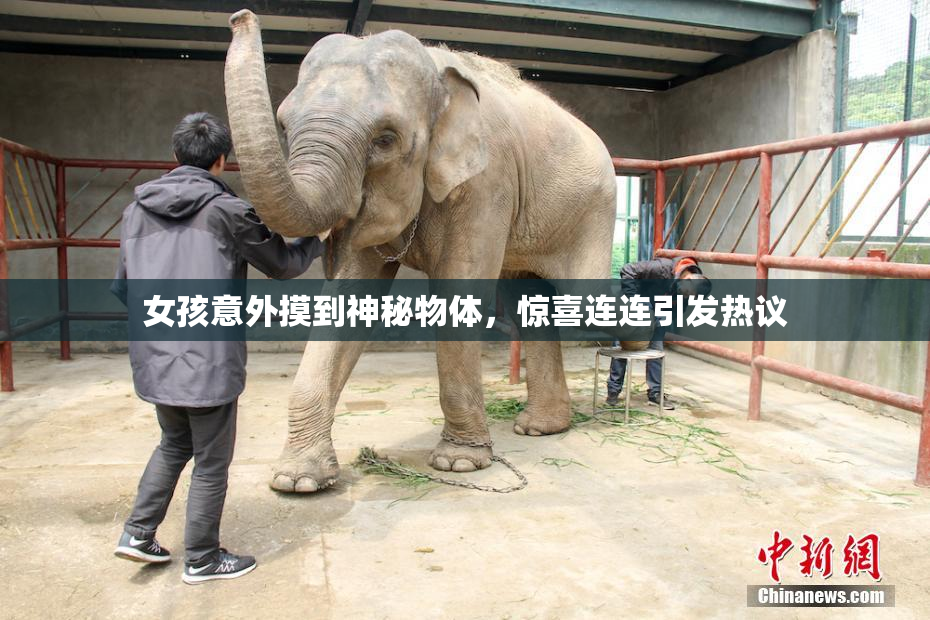 女孩意外摸到神秘物体，惊喜连连引发热议
