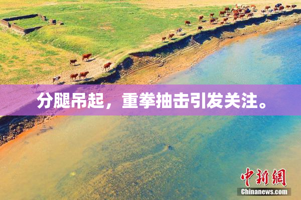 分腿吊起，重拳抽击引发关注。