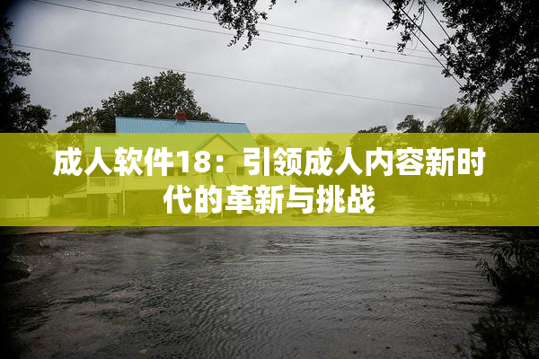 成人软件18：引领成人内容新时代的革新与挑战
