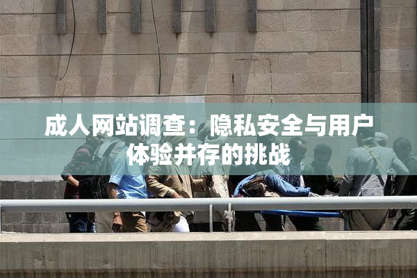 成人网站调查：隐私安全与用户体验并存的挑战