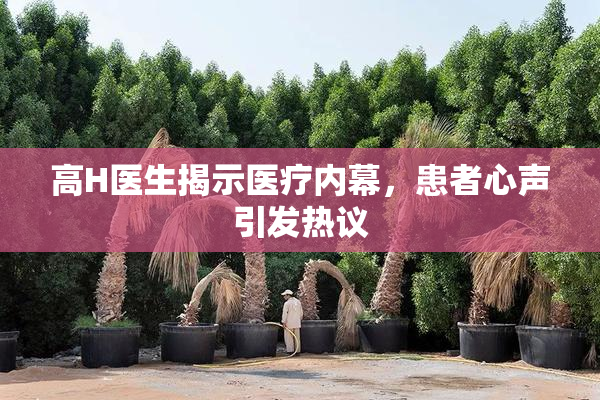 高H医生揭示医疗内幕，患者心声引发热议
