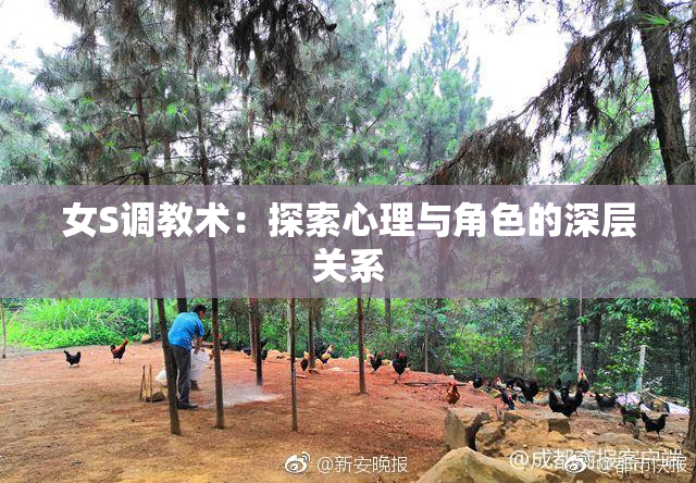 女S调教术：探索心理与角色的深层关系