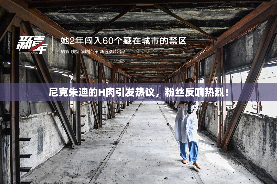 尼克朱迪的H肉引发热议，粉丝反响热烈！