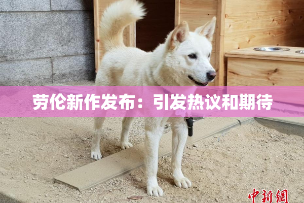 劳伦新作发布：引发热议和期待
