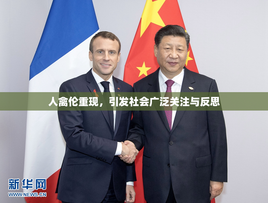 人禽伦重现，引发社会广泛关注与反思