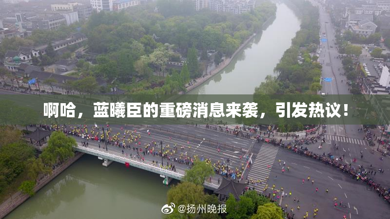 啊哈，蓝曦臣的重磅消息来袭，引发热议！