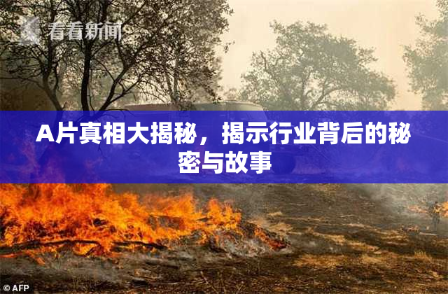 A片真相大揭秘，揭示行业背后的秘密与故事