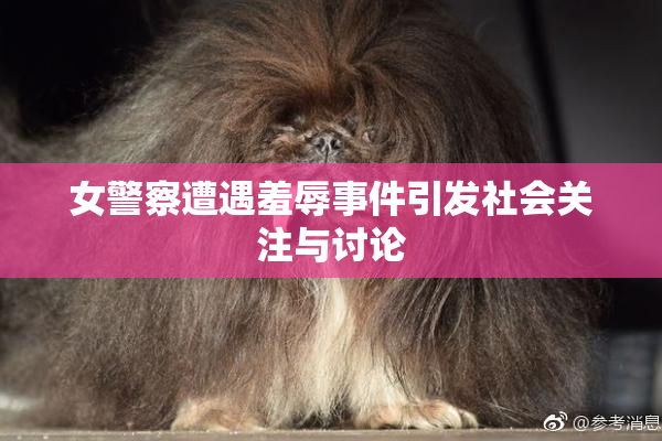 女警察遭遇羞辱事件引发社会关注与讨论