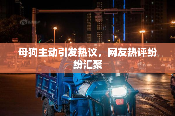母狗主动引发热议，网友热评纷纷汇聚