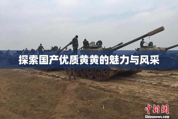 探索国产优质黄黄的魅力与风采
