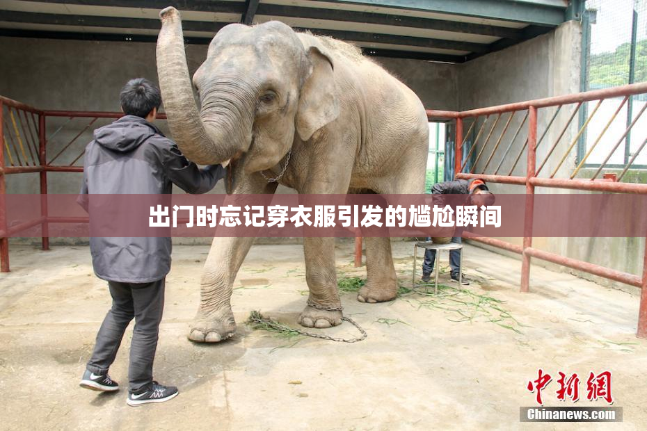 出门时忘记穿衣服引发的尴尬瞬间