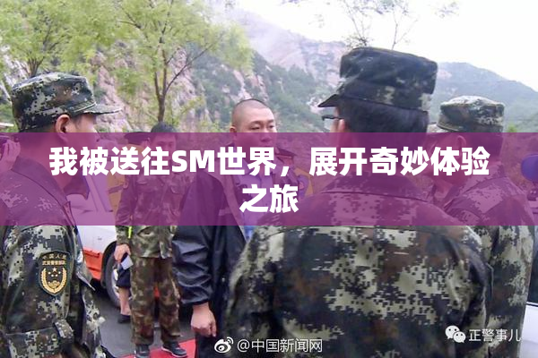 我被送往SM世界，展开奇妙体验之旅