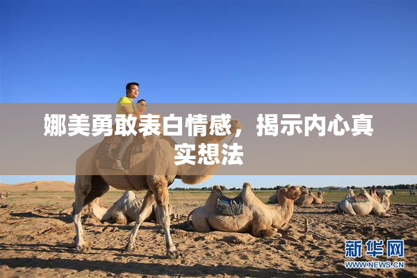 娜美勇敢表白情感，揭示内心真实想法