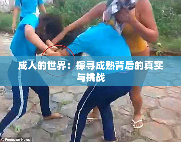 成人的世界：探寻成熟背后的真实与挑战
