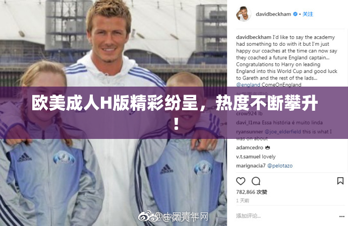 欧美成人H版精彩纷呈，热度不断攀升！