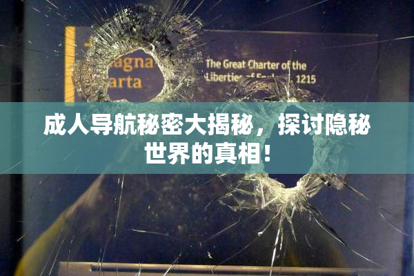 成人导航秘密大揭秘，探讨隐秘世界的真相！