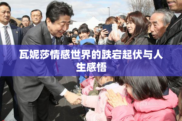 瓦妮莎情感世界的跌宕起伏与人生感悟