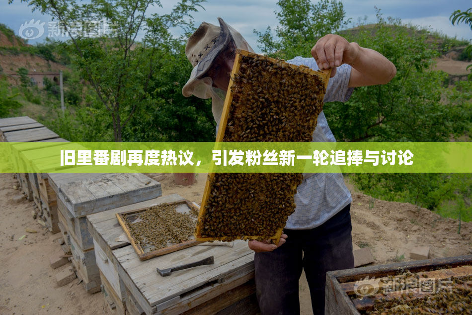 旧里番剧再度热议，引发粉丝新一轮追捧与讨论