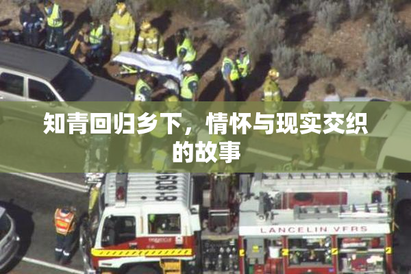 知青回归乡下，情怀与现实交织的故事