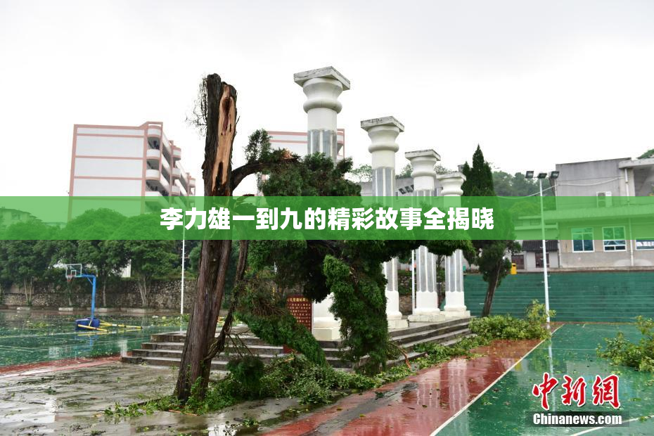 李力雄一到九的精彩故事全揭晓