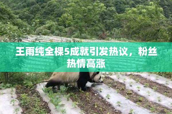 王雨纯全棵5成就引发热议，粉丝热情高涨