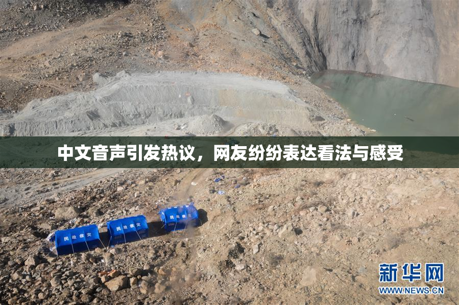 中文音声引发热议，网友纷纷表达看法与感受