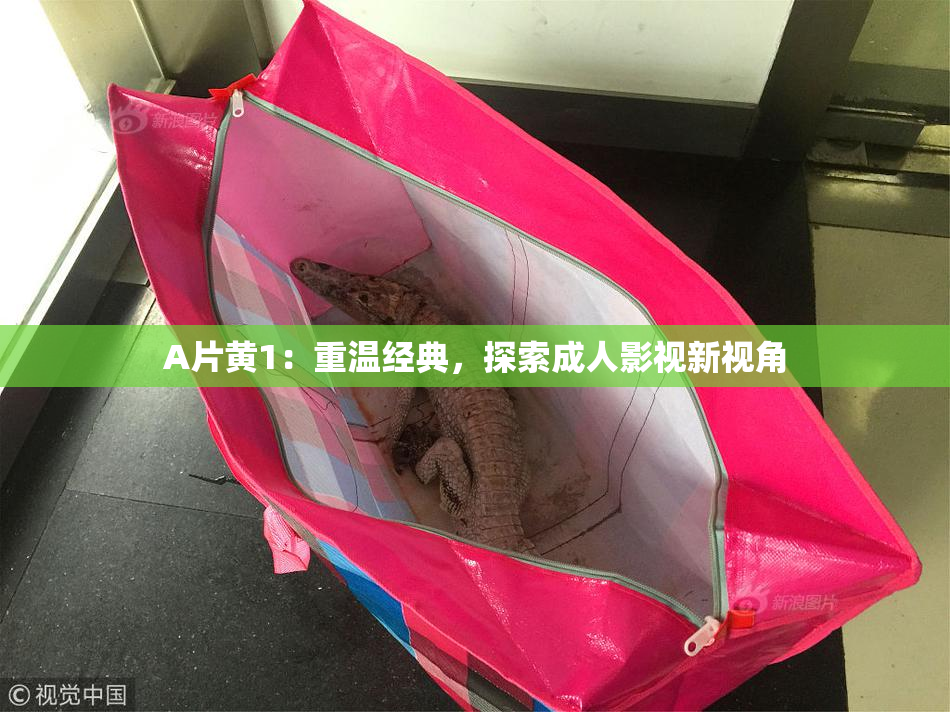 A片黄1：重温经典，探索成人影视新视角