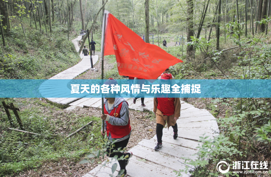 夏天的各种风情与乐趣全捕捉