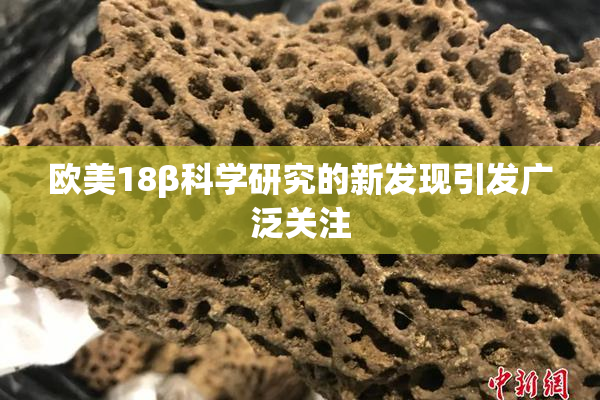 欧美18β科学研究的新发现引发广泛关注