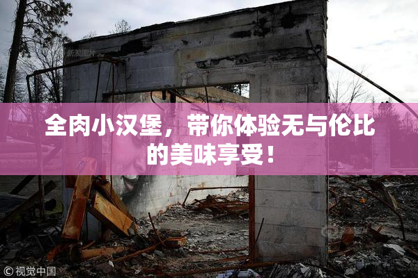 全肉小汉堡，带你体验无与伦比的美味享受！