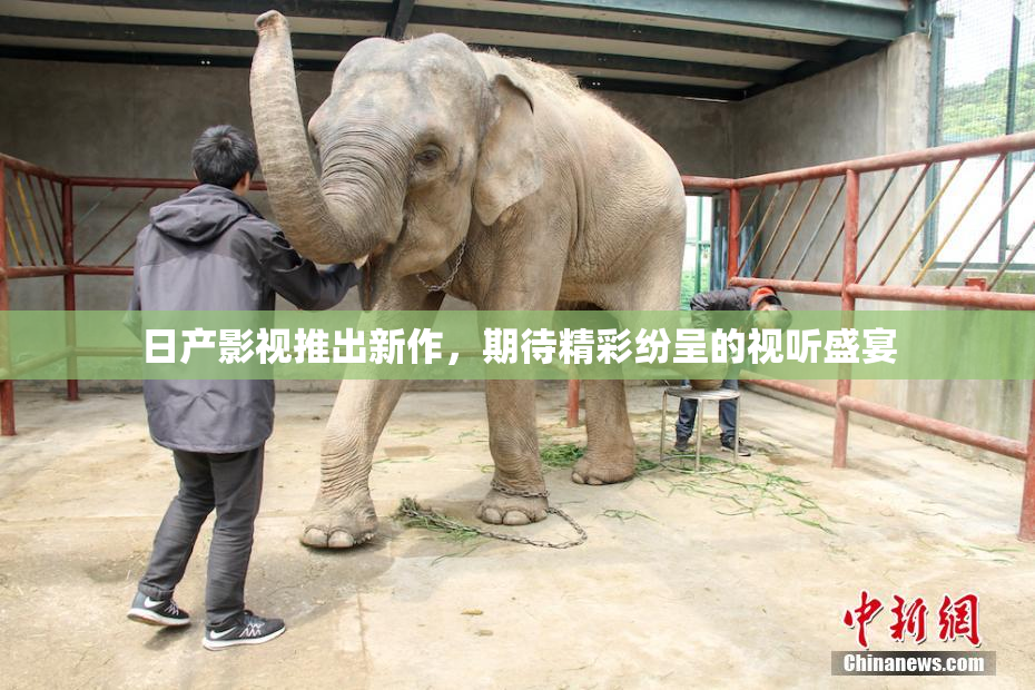 日产影视推出新作，期待精彩纷呈的视听盛宴