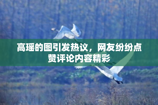 高瑶的图引发热议，网友纷纷点赞评论内容精彩