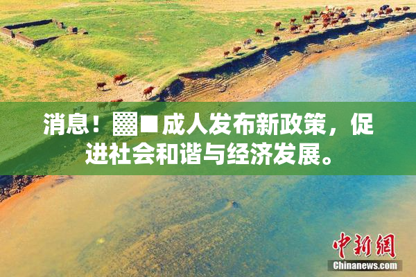消息！▓■成人发布新政策，促进社会和谐与经济发展。