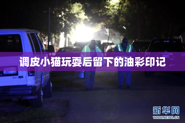 调皮小猫玩耍后留下的油彩印记