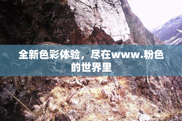 全新色彩体验，尽在www.粉色的世界里
