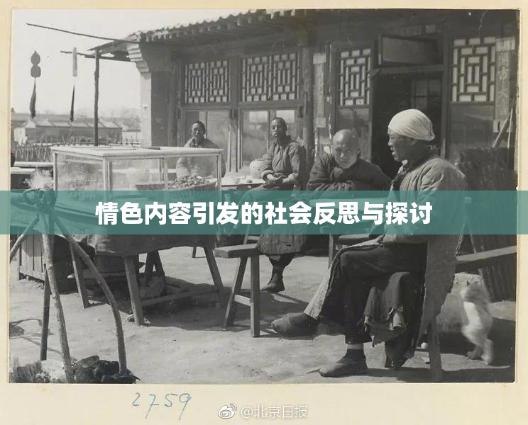 情色内容引发的社会反思与探讨