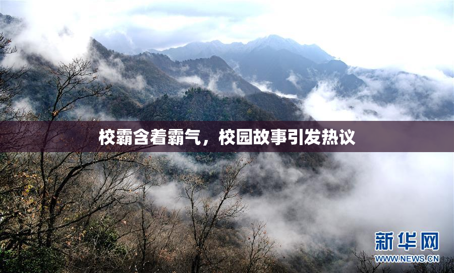 校霸含着霸气，校园故事引发热议