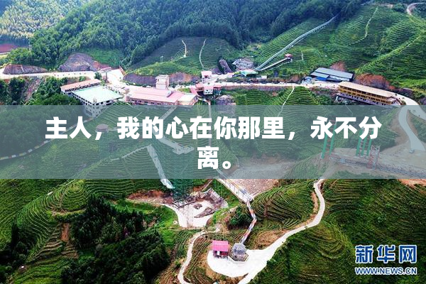 主人，我的心在你那里，永不分离。