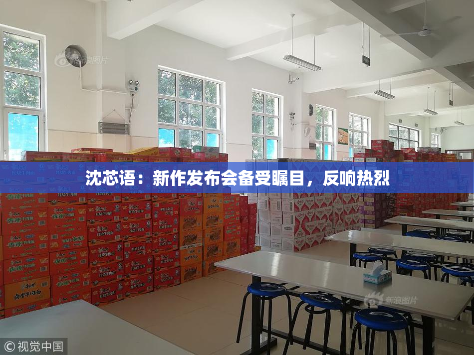 沈芯语：新作发布会备受瞩目，反响热烈