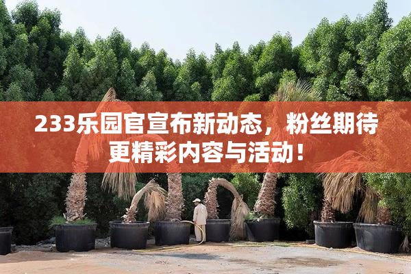 233乐园官宣布新动态，粉丝期待更精彩内容与活动！