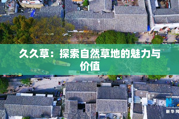 久久草：探索自然草地的魅力与价值