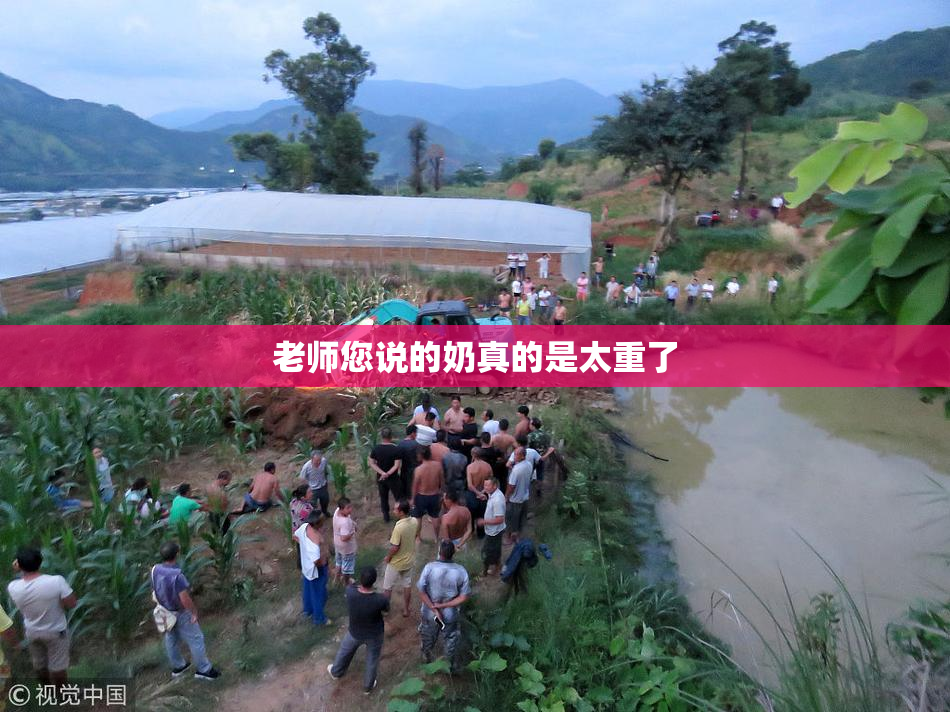 老师您说的奶真的是太重了