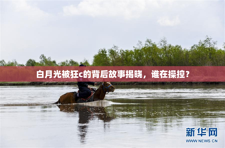 白月光被狂c的背后故事揭晓，谁在操控？