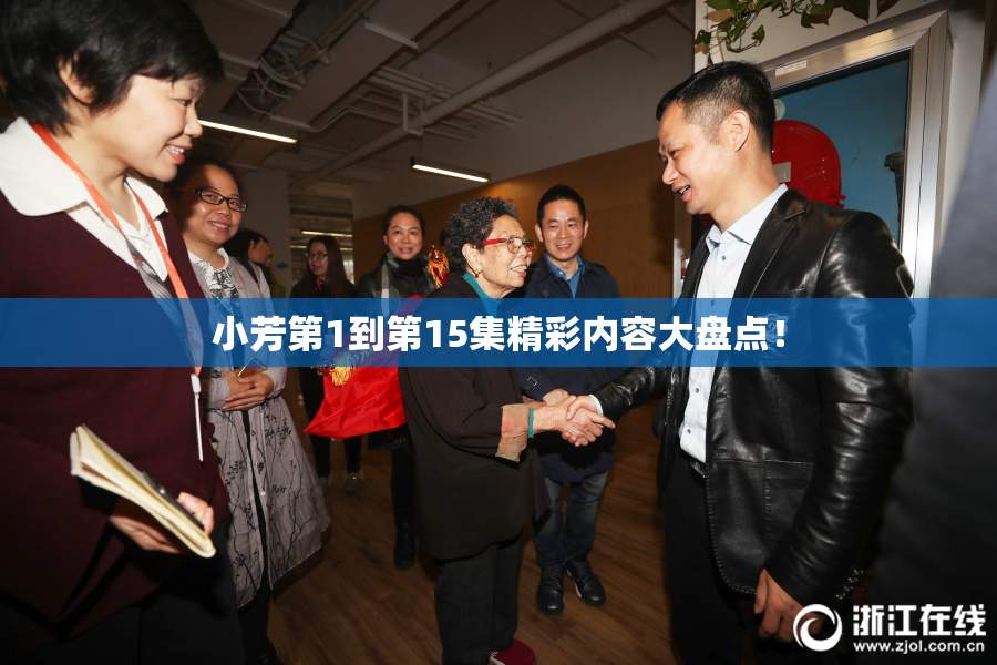 小芳第1到第15集精彩内容大盘点！
