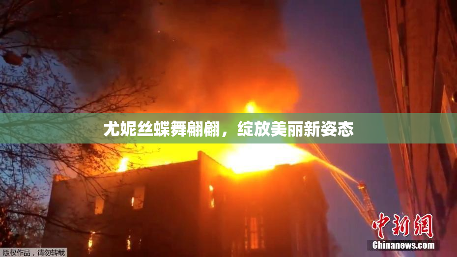 尤妮丝蝶舞翩翩，绽放美丽新姿态