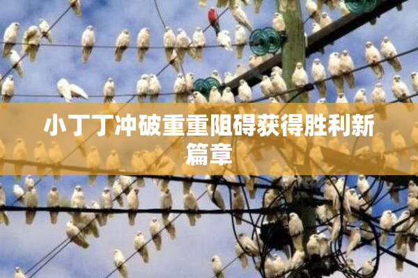 小丁丁冲破重重阻碍获得胜利新篇章
